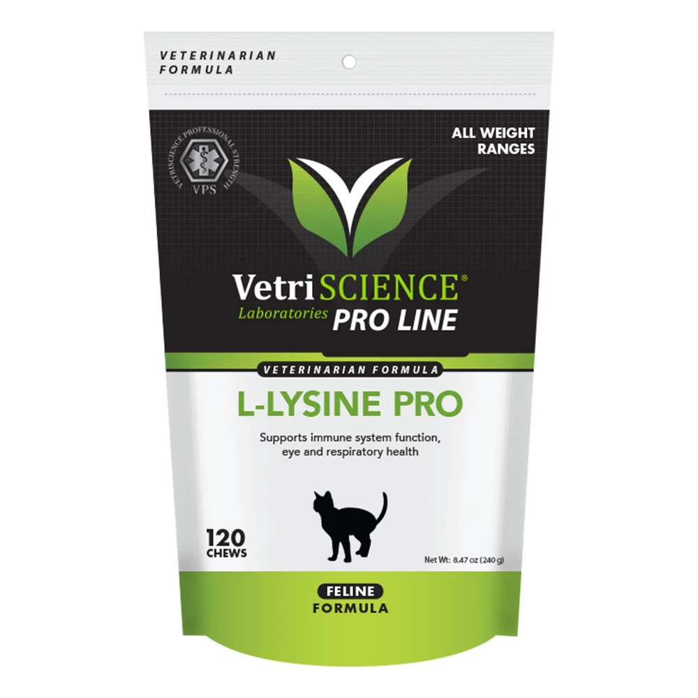 L-Lysine Pro 5 L-Lysine Pro - Image 3