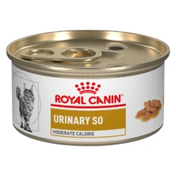 Royal Canin Urinary SO Moderate Calorie Morsels In Gravy Can For Cats -Cat Supplies Store 12b1544e 7b22 48b6 9446 489e735e8255