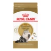Royal Canin Feline Breed Nutrition Adult Persian Dry -Cat Supplies Store 168a61cb 5e53 4cb8 b7a7 558d9103294e
