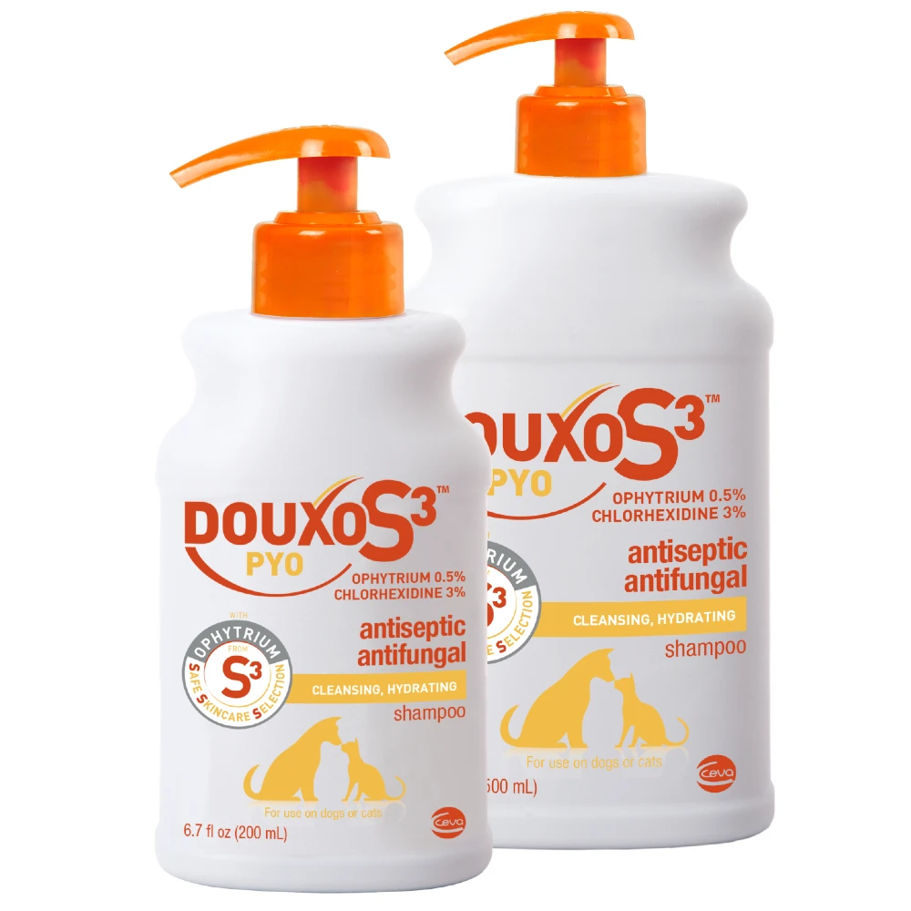 DOUXO S3™ PYO Shampoo (Orange) 5 DOUXO S3™ PYO Shampoo (Orange) - Image 3