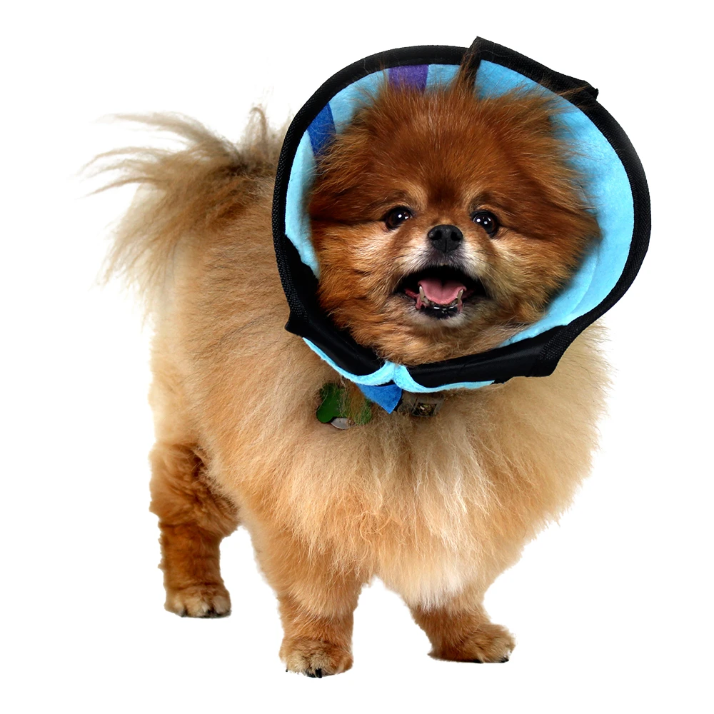 KVP Calmer™ Collar 5 KVP Calmer™ Collar - Image 3