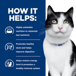 Hill's® Prescription Diet® Cat I/d® Dry 29 Hill's® Prescription Diet® Cat I/d® Dry -Cat Supplies Store 3002832 2334101 ENG INFO