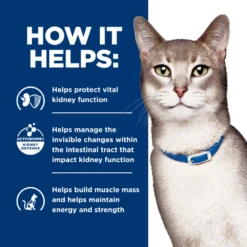 Hill's® Prescription Diet® Cat K/d® Dry -Cat Supplies Store 3002833 2210351 ENG INFO