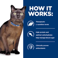 Hill's® Prescription Diet® Cat M/d® Dry 21 Hill's® Prescription Diet® Cat M/d® Dry -Cat Supplies Store 3002835 2210415 ENG INFO