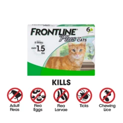 Frontline® Plus Cat -Cat Supplies Store 3002960 2066345 ENG INFO