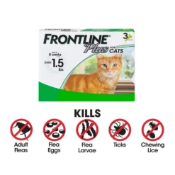 Frontline® Plus Cat -Cat Supplies Store 3002960 2066353 ENG INFO