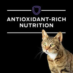 Purina® Pro Plan® Veterinary Diets Cat DM Dietetic Management® Dry -Cat Supplies Store 3003443 3002553 ENG NUTRITION