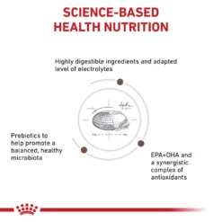 Royal Canin Gastrointestinal Moderate Calorie Dry For Cats -Cat Supplies Store 3006206 3004675 ENG LEFT