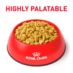 Royal Canin Hydrolyzed Protein HP Dry For Cats -Cat Supplies Store 3006208 3004680 ENG PRODUCT