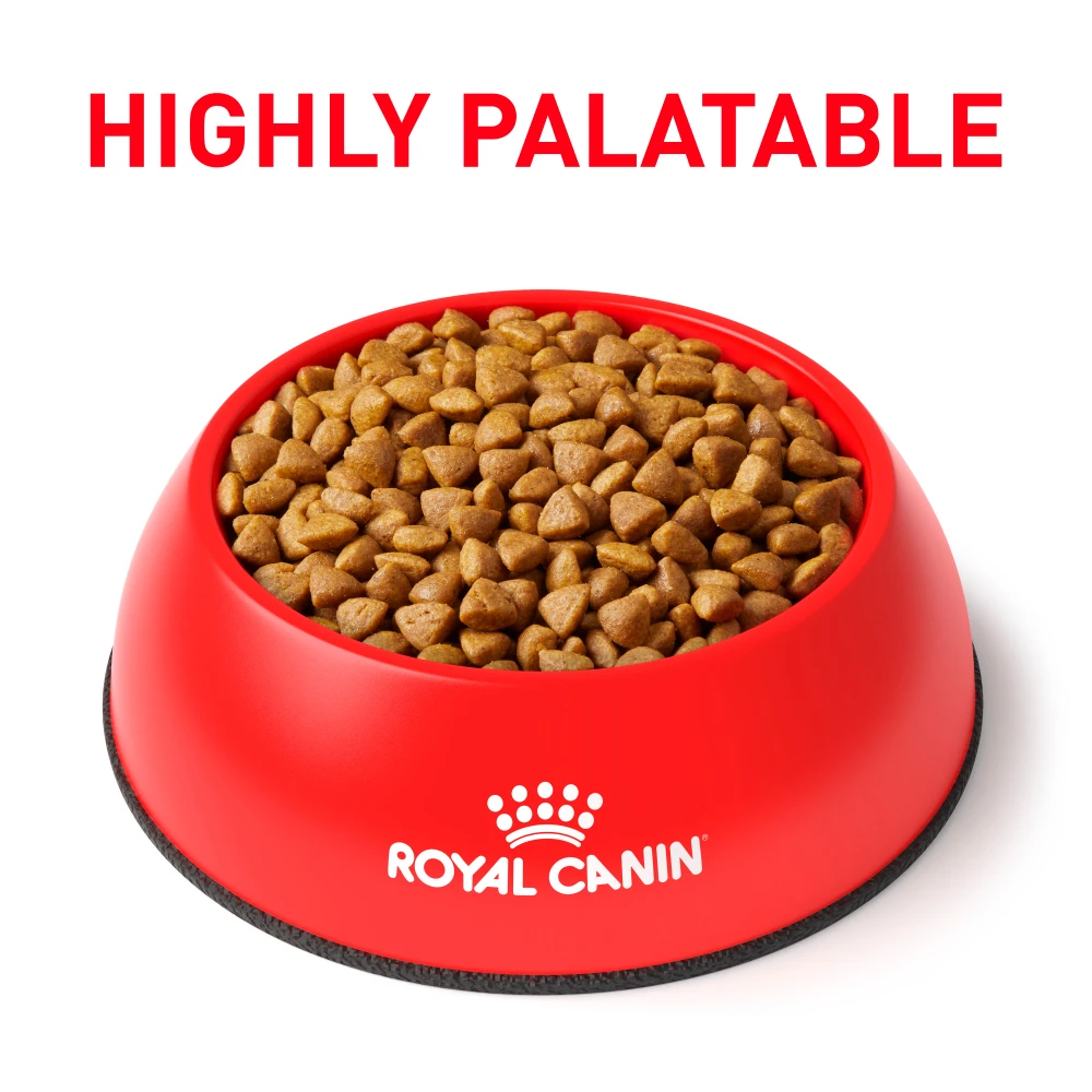 Royal Canin Calm Dry For Cats 9 Royal Canin Calm Dry For Cats - Image 7