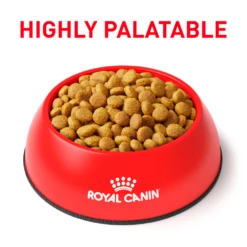 Royal Canin Urinary SO Moderate Calorie Dry For Cats -Cat Supplies Store 3006218 3004702 ENG PRODUCT