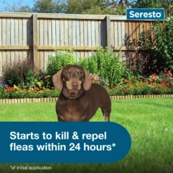 Seresto® Collars -Cat Supplies Store 3006462 3006464 ENG INSTRUCTIONS