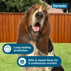Seresto® Collars -Cat Supplies Store 3006462 3006464 ENG NUTRITION