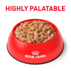 Royal Canin Gastrointestinal Moderate Calorie Morsels In Gravy Can For Cats -Cat Supplies Store 3006523 3004676 ENG PRODUCT