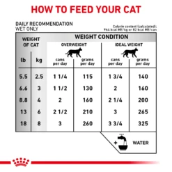 Royal Canin Renal Support Early Consult Can For Cats -Cat Supplies Store 3006532 3006579 ENG INSTRUCTIONS