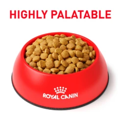 Royal Canin Weight Control Dry For Cats -Cat Supplies Store 3006537 3006584 ENG PRODUCT