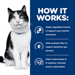 Hill's® Prescription Diet® Cat I/d® Canned -Cat Supplies Store 3007405 2210327 ENG INFO