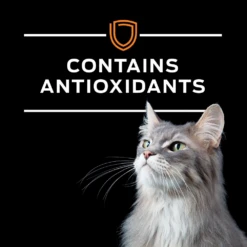 Purina® Pro Plan® Veterinary Diets Cat OM Overweight Management® Diet Dry -Cat Supplies Store 3007439 3002567 ENG LEFT