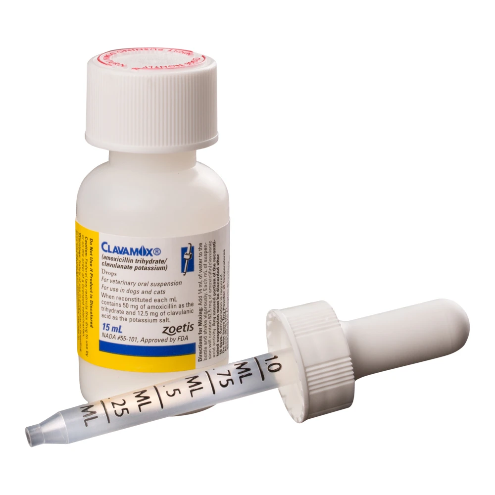 Clavamox® Drops 7 Clavamox® Drops - Image 5