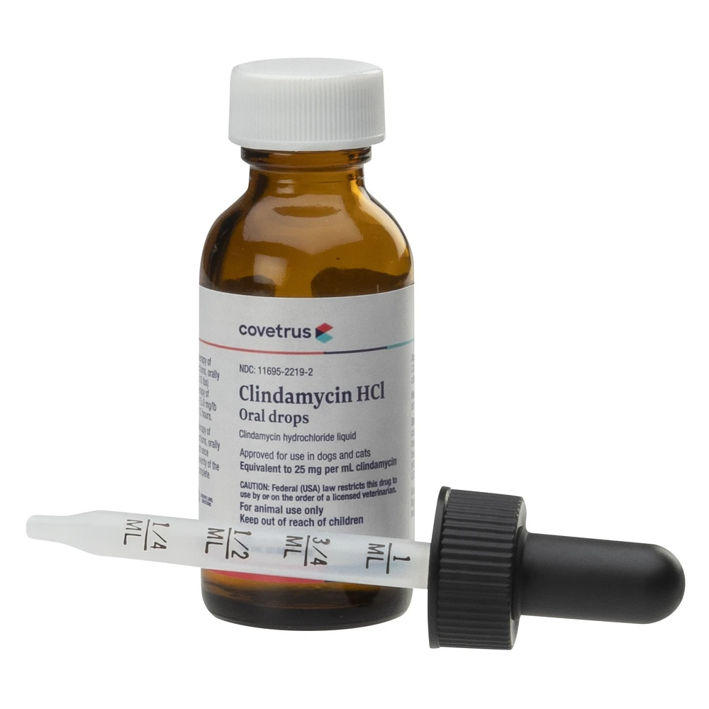 Clindamycin Hydrochloride Solution 8 Clindamycin Hydrochloride Solution - Image 6