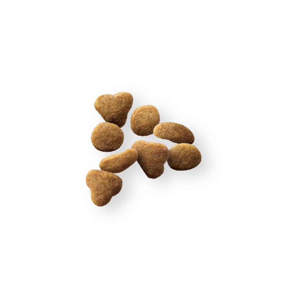 Purina® Pro Plan® Adult Cat Indoor Care Turkey & Rice Formula Dry 9 Purina® Pro Plan® Adult Cat Indoor Care Turkey & Rice Formula Dry - Image 7