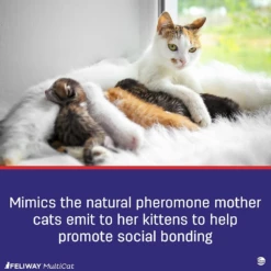 Feliway® MultiCat -Cat Supplies Store 3009206 3009205 ENG INGREDIENTS