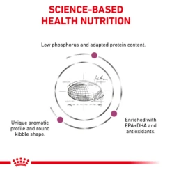 Royal Canin Renal Support A™ Dry For Cats -Cat Supplies Store 3009956 3009957 ENG NUTRITION