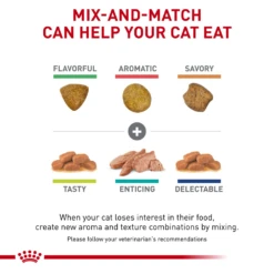 Royal Canin Renal Support A™ Dry For Cats -Cat Supplies Store 3009956 3009957 ENG PRODUCT