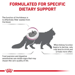 Royal Canin Renal Support A™ Dry For Cats -Cat Supplies Store 3009956 3009958 ENG BACK