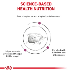 Royal Canin Renal Support F™ Dry For Cats -Cat Supplies Store 3009959 3009960 ENG NUTRITION