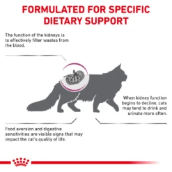 Royal Canin Renal Support S™ Dry For Cats -Cat Supplies Store 3009962 3009963 ENG BACK