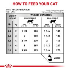 Royal Canin Renal Support D™ Thin Slices In Gravy Can For Cats -Cat Supplies Store 3009965 3009966 ENG INSTRUCTIONS
