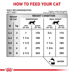 Royal Canin Renal Support E™ Can For Cats -Cat Supplies Store 3009967 3009968 ENG INSTRUCTIONS
