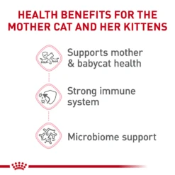 Royal Canin Feline Health Nutrition Mother & Babycat Dry -Cat Supplies Store 3015315 3022353 ENG INFO