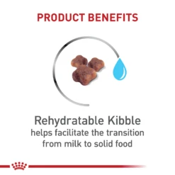 Royal Canin Feline Health Nutrition Mother & Babycat Dry -Cat Supplies Store 3015315 3022353 ENG PRODUCT