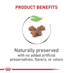 Royal Canin Feline Health Nutrition Kitten Dry -Cat Supplies Store 3015318 3015320 ENG PRODUCT