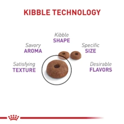 Royal Canin Feline Health Nutrition Appetite Control Spayed/Neutered Dry -Cat Supplies Store 3015328 3022357 ENG PRODUCT