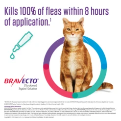 Bravecto® Topical Solution For Cats 37 Bravecto® Topical Solution For Cats -Cat Supplies Store 3016162 3016167 ENG INFO