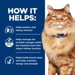 Hill's Prescription Diet® Cat K/d® + Mobility Dry 19 Hill's Prescription Diet® Cat K/d® + Mobility Dry -Cat Supplies Store 3016609 3016610 ENG INFO