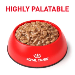 Royal Canin Satiety Support Weight Management Morsels In Gravy Can For Cats -Cat Supplies Store 3019318 3019319 ENG PRODUCT