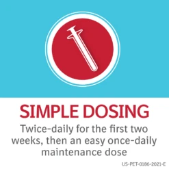 Semintra® Oral Solution For Cats -Cat Supplies Store 3020084 3020085 ENG INSTRUCTIONS