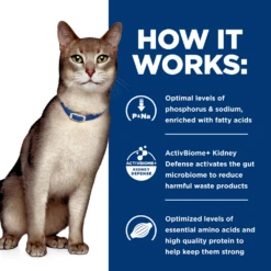 Hill's Prescription Diet® Cat K/d® Starter Kit 14 Hill's Prescription Diet® Cat K/d® Starter Kit -Cat Supplies Store 3020573 3023024 ENG INFO