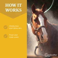 Cerasoothe CHX Antiseptic Shampoo -Cat Supplies Store 3021407 3021408 ENG INFO