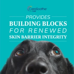 Cerasoothe CHX Antiseptic Shampoo -Cat Supplies Store 3021407 3021408 ENG NUTRITION