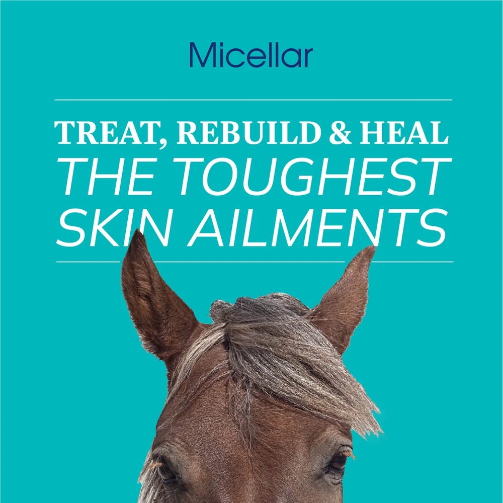 Cerasoothe Micellar Otic Cleanser 11 Cerasoothe Micellar Otic Cleanser - Image 9