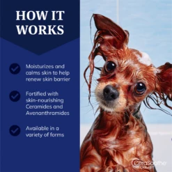 Cerasoothe CHX+KET Antiseptic Wipes -Cat Supplies Store 3021438 3021439 ENG INFO