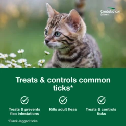 Credelio™ Chewable Tablets For Cats -Cat Supplies Store 3021525 3021526 ENG INGREDIENTS
