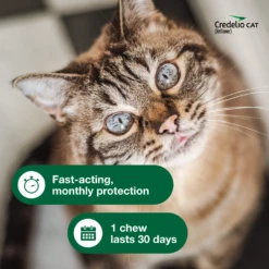Credelio™ Chewable Tablets For Cats -Cat Supplies Store 3021525 3021527 ENG NUTRITION