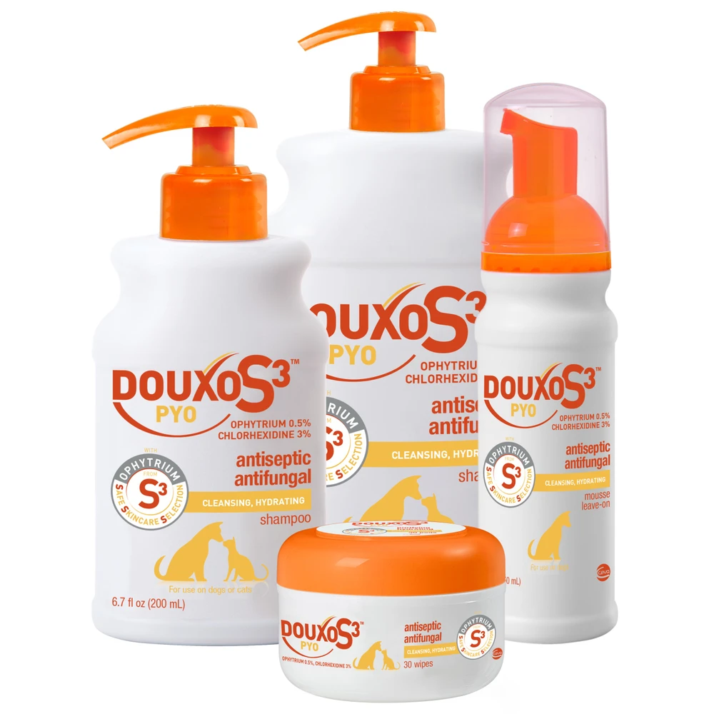 DOUXO S3™ PYO Shampoo (Orange) 10 DOUXO S3™ PYO Shampoo (Orange) - Image 8