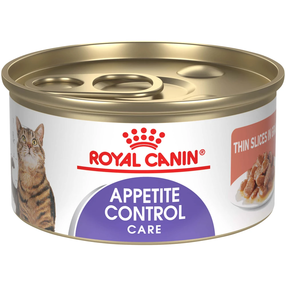 Royal Canin Feline Health Nutrition Appetite Control Can For Cats 6 Royal Canin Feline Health Nutrition Appetite Control Can For Cats - Image 4